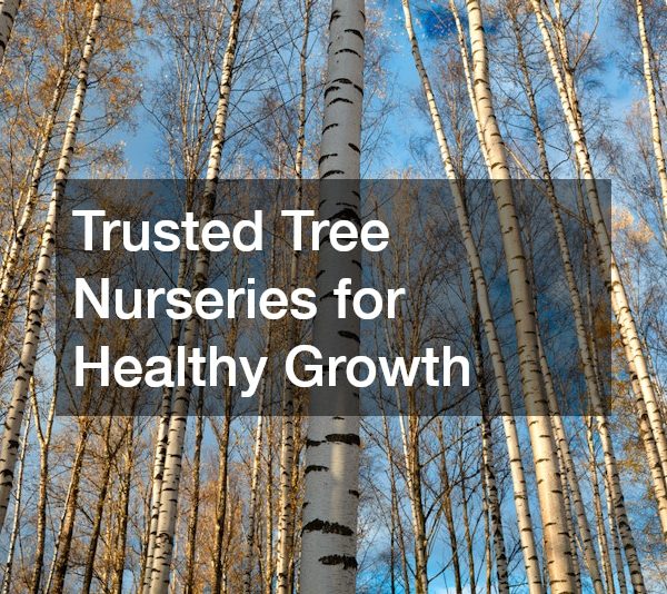 Trusted Tree Nurseries for Healthy Growth