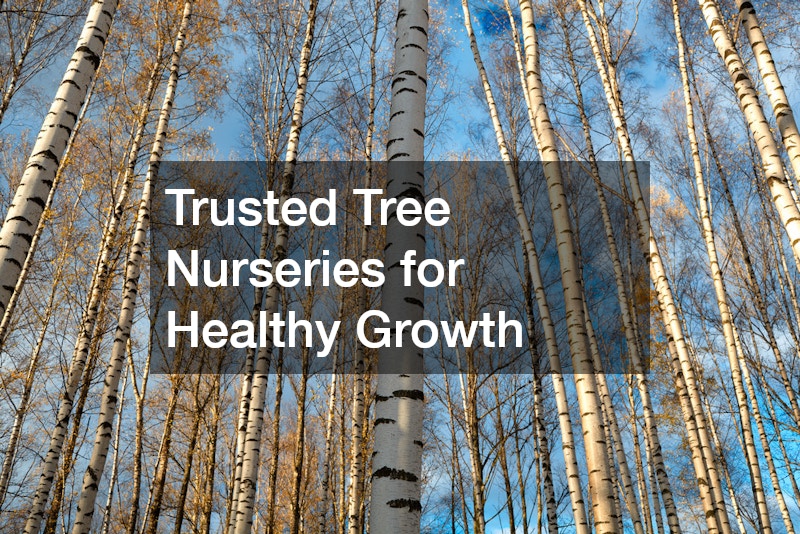 Trusted Tree Nurseries for Healthy Growth